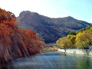 新澳天天开奖资料大全旅游团，牙签生产厂家